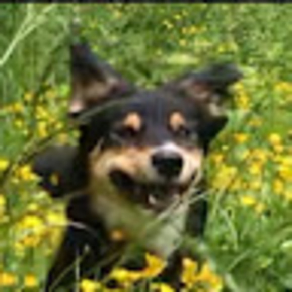 Meet your Posher, Angelena - Picture 1 of 1